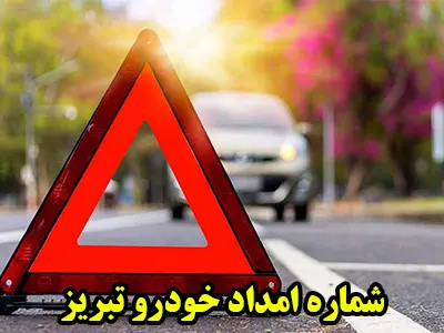 شماره تماس